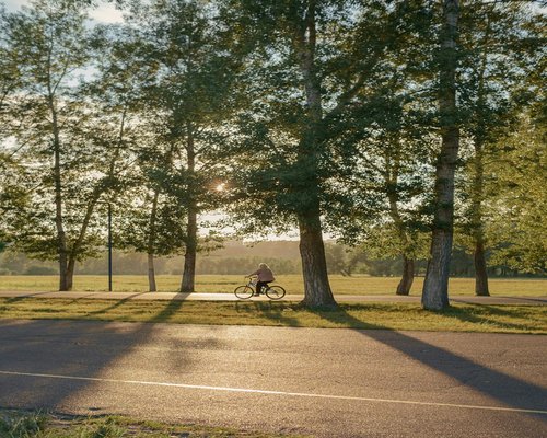 person riding a bicycle in a sunny park path